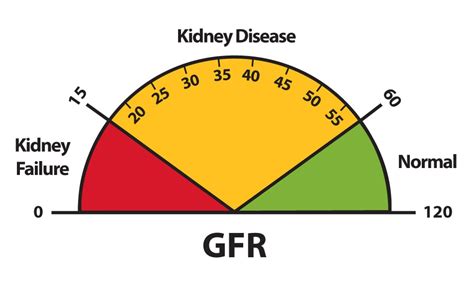 dropped kidney test|explaining kidney test results.